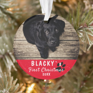 Eerste Puppy Kerst Misse Rode Huisdier Foto Ornament