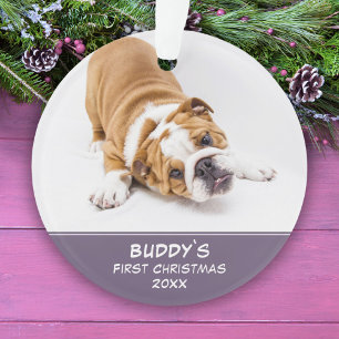 Eerste Puppy Kerstmis Lavendel Huisdier Foto Ornam Ornament