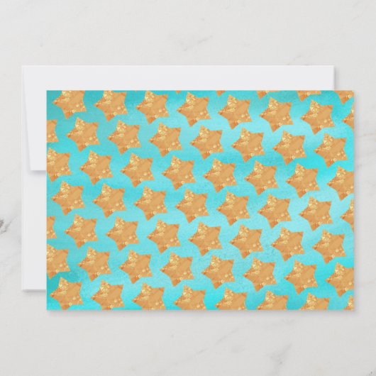 Eerste reis rond de zon kaart (Achterkant)