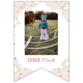 Eerste Rodeo Maandelijkse Foto banner Bunting Flag (Tweede vlag)