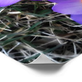 EERSTE SIGNALEN VAN DE SPRING POSTER (Hoek)