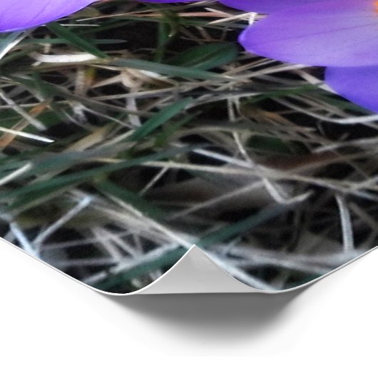 EERSTE SIGNALEN VAN DE SPRING POSTER (Hoek)