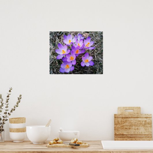 EERSTE SIGNALEN VAN DE SPRING POSTER (Keuken)