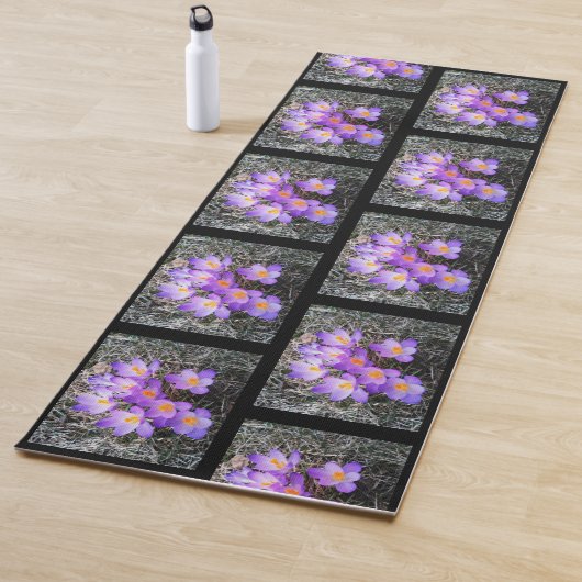 EERSTE SIGNALEN VAN DE SPRING YOGAMAT (In situ)