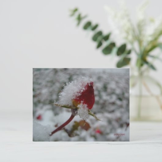 eerste sneeuw briefkaart (Staand voorkant)