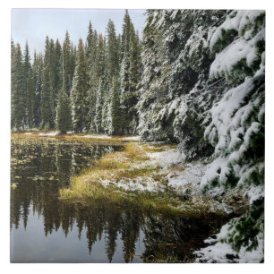 Eerste sneeuw op Golden Waters Tegeltje