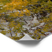 Eerste sneeuw poster (Hoek)