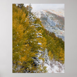 Eerste sneeuw poster