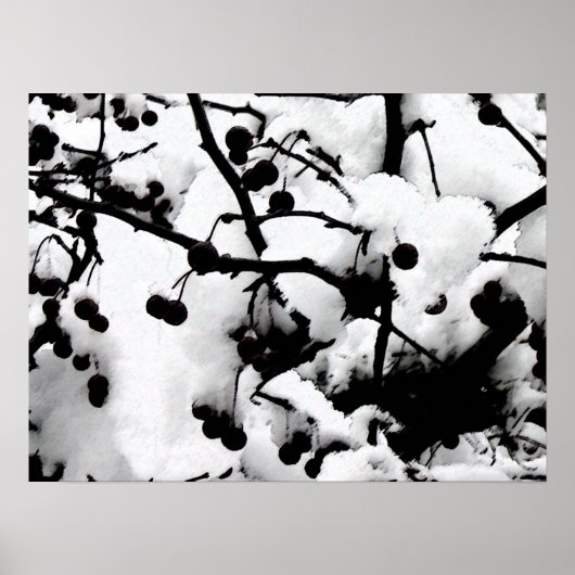 Eerste sneeuw poster (Voorkant)