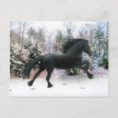 "Eerste sneeuwrun" Briefkaart (Voorkant)