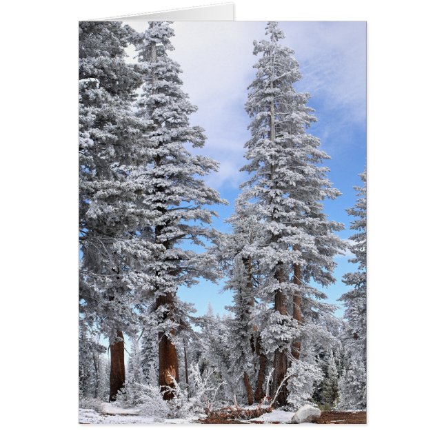 Eerste sneeuwval (Voorkant)