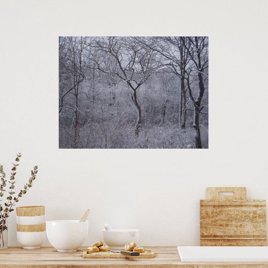 Eerste sneeuwval in Upstate New York Poster (Keuken)