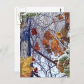 Eerste sneeuwwintercamouflage afdrukken briefkaart (Voorkant / Achterkant)