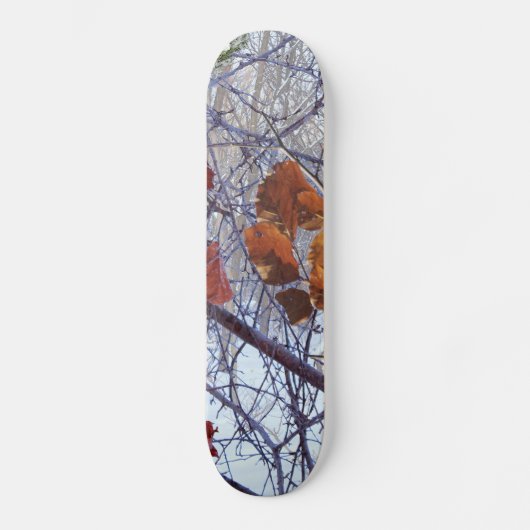 Eerste sneeuwwintercamouflage stijl persoonlijk skateboard (Voorkant)