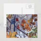 Eerste sneeuwwintercampagne briefkaart (Voorkant / Achterkant)