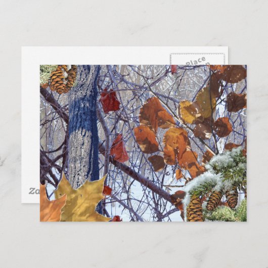 Eerste sneeuwwintercampagne briefkaart (Voorkant / Achterkant)