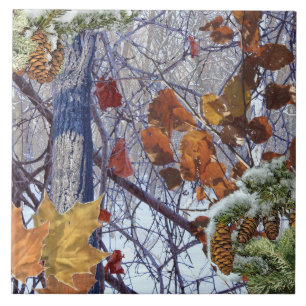 Eerste sneeuwwintercampagne tegeltje