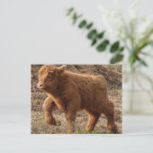 eerste stappen briefkaart (Staand voorkant)