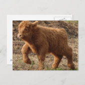 eerste stappen briefkaart (Voorkant / Achterkant)