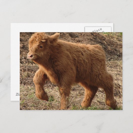 eerste stappen briefkaart (Voorkant / Achterkant)