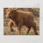 eerste stappen briefkaart (Voorkant)