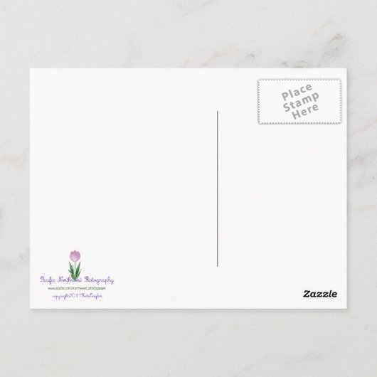 Eerste strand bij LaPush Briefkaart (Achterkant)