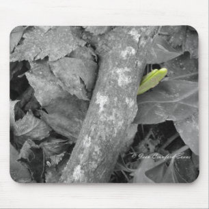 Eerste teken van de lente muismat