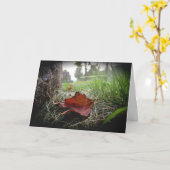 “Eerste Teken van Herfst” Sympathiekaart Kaart (Gele Bloem)