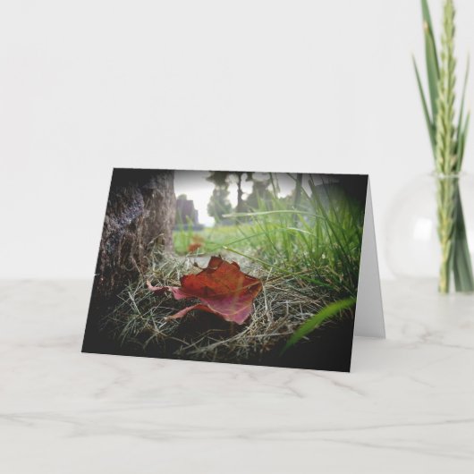 “Eerste Teken van Herfst” Sympathiekaart Kaart (Voorkant)