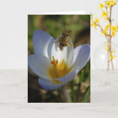 Eerste tekenen van de lente kaart (Gele Bloem)