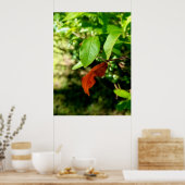 Eerste tekenen van Herfst Poster Print (Keuken)