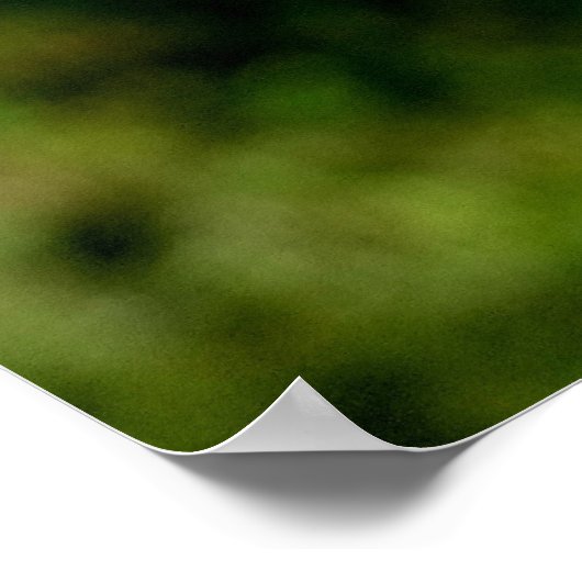 Eerste tekenen van Herfst Poster Print (Hoek)