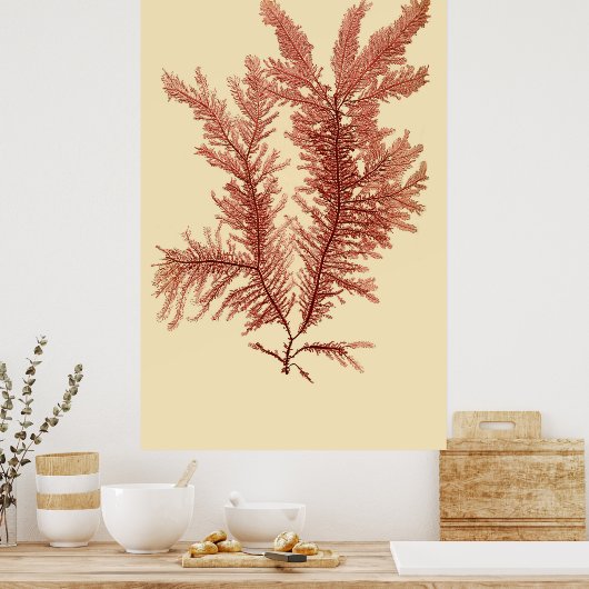 Eerste van vier samengeperste seaweed-reeks poster (Keuken)