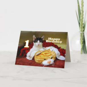 Eerste verjaardag kitten met Speelgoed tijger Kaart