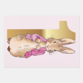 Eerste Verjaardag Peter de Konijn Roze Jas Inpakpapier Vel (Voorkant 3)