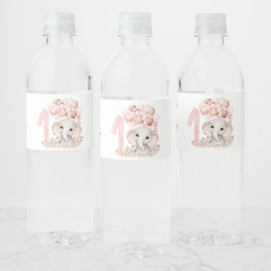 Eerste verjaardag van de verjaardag | Meisje | Eti Waterfles Etiket (Flessen)