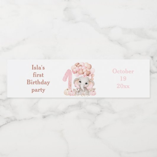 Eerste verjaardag van de verjaardag | Meisje | Eti Waterfles Etiket (Enkel label)