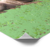 Eerste vier poster (Hoek)