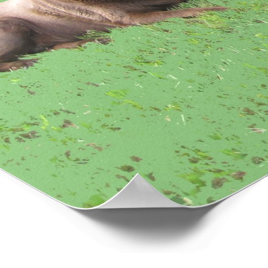 Eerste vier poster (Hoek)