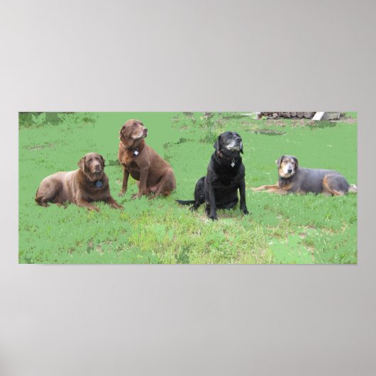 Eerste vier poster (Voorkant)