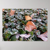 eerste vorst poster (Voorkant)