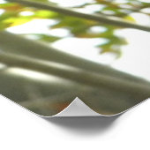 Eerste Wenk van Herfst Poster (Hoek)