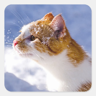 eerste winter vierkante sticker