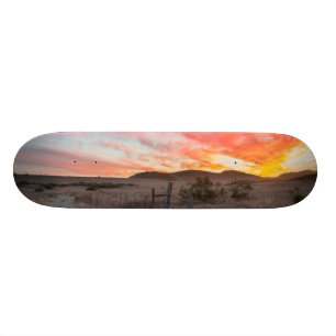 Eerste zondag van de dag persoonlijk skateboard