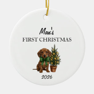 Eerstejaars Dachshund Puppy Kerst Ornament