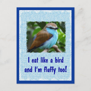 Eet als een vogel 2 briefkaart
