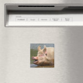 Eet dat niet!!! magneet (Insitu (Vaatwasser))