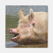 Eet dat niet!!! magneet (Voorkant)