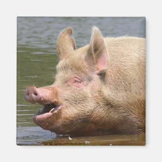 Eet dat niet!!! magneet (Voorkant)