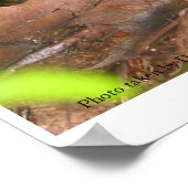 Eet de paddenstoel niet poster (Hoek)